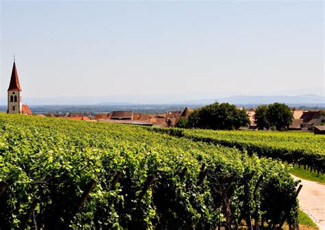 Alsace Wine Route Tours from Strasbourg - 2020 Travel Recommendations ...