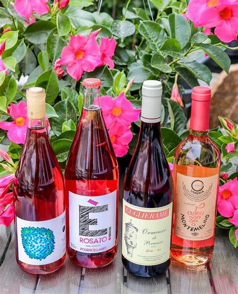 Wine Club: Rosé Spectacular! — Cork Natural Wine Shop & Restaurant