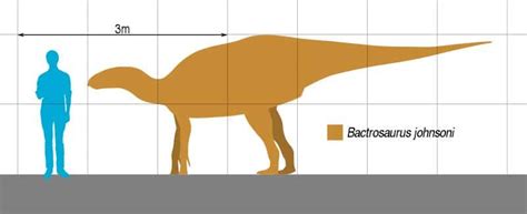 Bactrosaurus | The Club Lizard of the Late Cretaceous Era