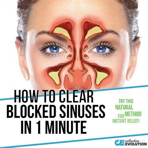 Having clogged sinuses isn’t fun. You can’t breath, you can’t smell, it ...