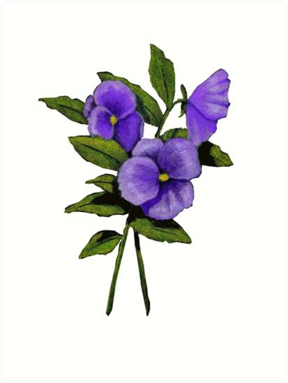 Lilac Flower Drawing | Free download on ClipArtMag