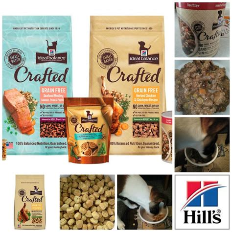 Hill`S Science Diet Cat Food Petsmart