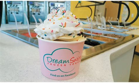 Dream Swirls Frozen Yogurt - Dream Swirls Frozen Yogurt | Groupon