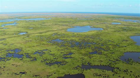 Mississippi River Delta Marshes Have Hit a Tipping Point, Study Finds ...