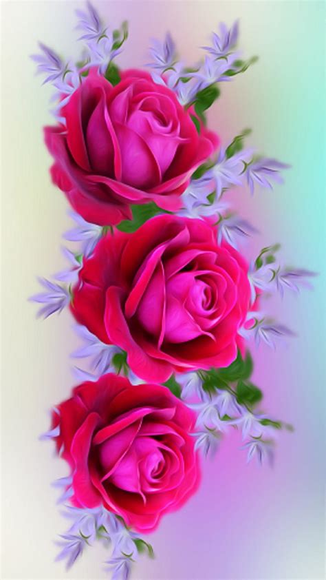 Rose Flower Hd Wallpaper For Android | Best Flower Site