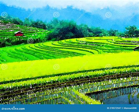 Art Color of Rice Field on the Mountain , Watercolor Style, Ai Generated Stock Illustration ...