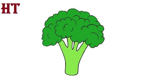 Easy Broccoli Drawing for Beginners - Vegetables Drawing | Vegetable ...