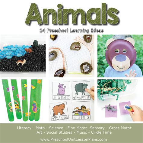 A Year of Preschool Lesson Plans Bundle - Where Imagination Grows