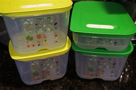 Getting Smart With Tupperware FridgeSmart® Containers {Review} - Mom and More
