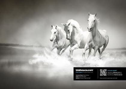 Horses Black & White Wallpaper | Wallsauce CA