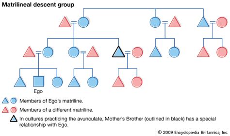 Kinship - Descent, Lineage, Family | Britannica