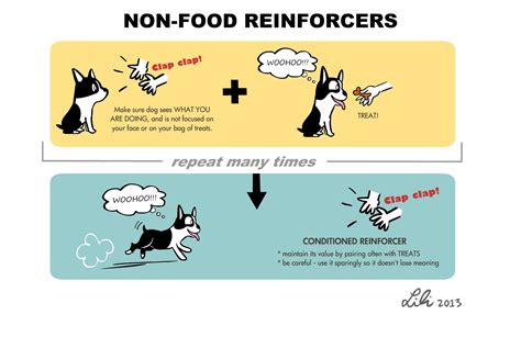 Primary Reinforcer Psychology Definition - slidesharetrick