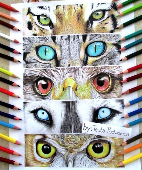 Animal Eye Painting - Arsma