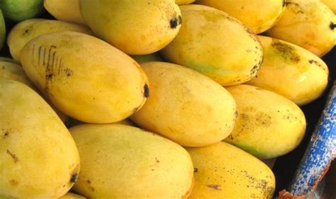 Climate change lowers Pakistan's mango produce by 20pc - Profit by Pakistan Today