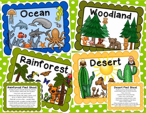 Simply SWEET TEAching: Animal Classification and Habitats Unit