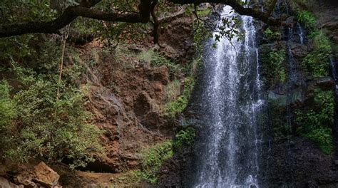 Top Hotels with a Fitness Center in Nanyuki | Hotels.com