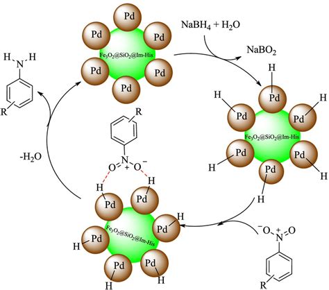 The proposed mechanism of palladium catalyzed nitroarene reduction by NaBH4 | Download ...