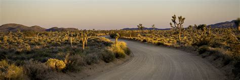 Joshua Tree National Park 2024 Visitor Travel Guide & Trip Planner