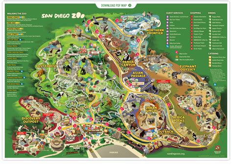 San Diego Zoo | Visit san diego, San diego zoo, Zoo map