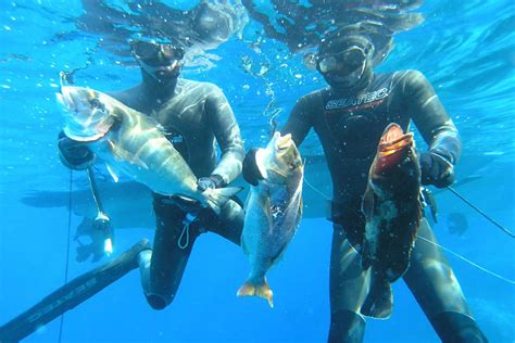 Spearfishing Tour from Split