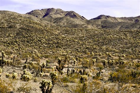 California Desert Free Stock Photo - Public Domain Pictures