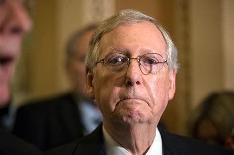 Mitch McConnell rebuffs Trump's "fake news" trope - Business Insider