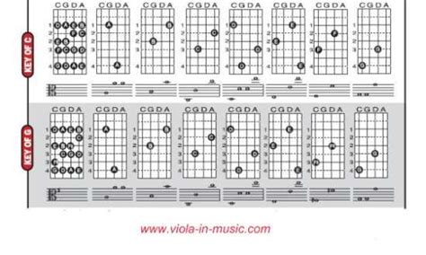 13 best Viola // Fingerboard Geography images on Pinterest | Music ...