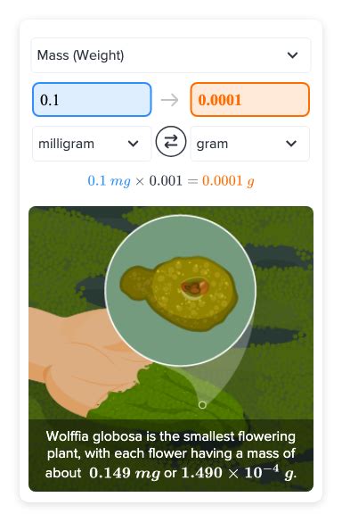 Flexi answers - What is the weight of 0.1 milligrams in grams? | CK-12 ...