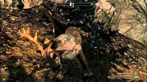 Skyrim Bölüm 20 : Gunmar Ve Bug - YouTube