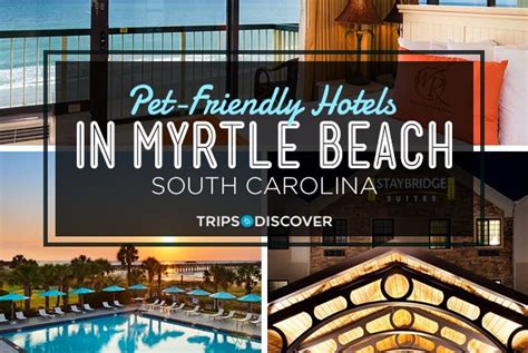 9 Pet-Friendly Hotels in Myrtle Beach, South Carolina – Trips To Discover