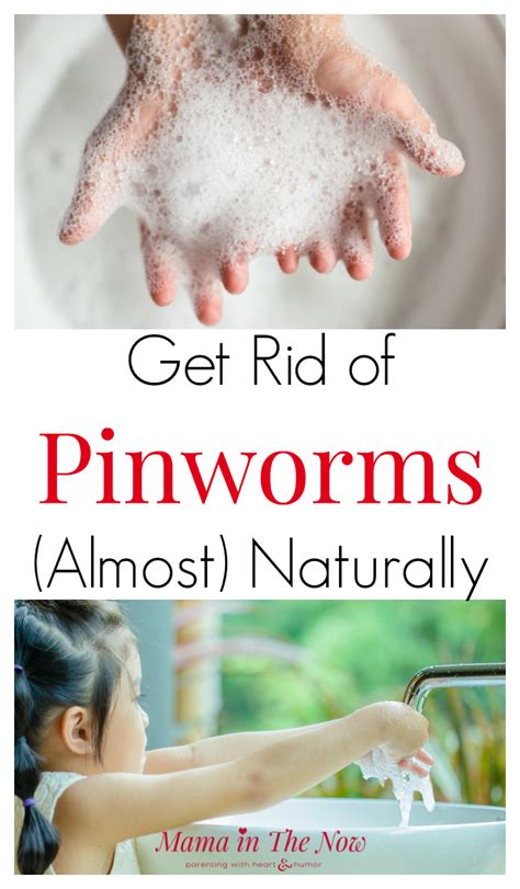 How to Treat Pinworms (Almost) Naturally - For Good