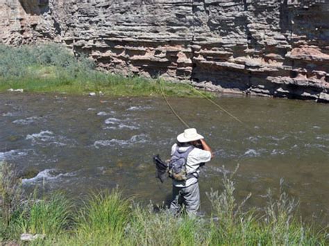 PECOS RIVER FISHING - Northern New Mexico