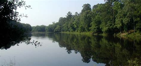 Piney Woods Lake Campground, Glenwood | Roadtrippers