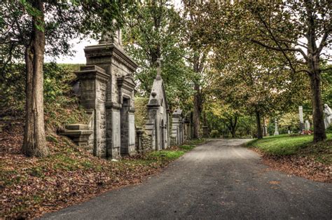 Photo du Jour: Notre-Dame-des-Neiges Cemetery - Spacing Montreal ...