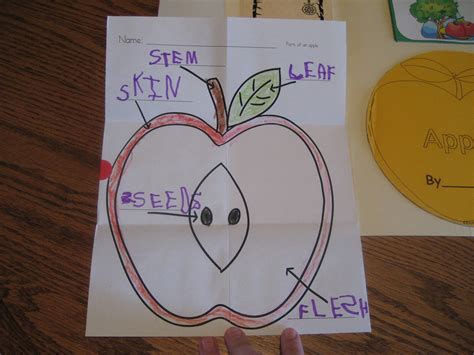 IMG_4580 | Apple Lapbook, Sept 2008 (B) - labeling parts of … | Flickr