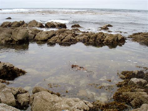 Monterey Bay Tide Chart
