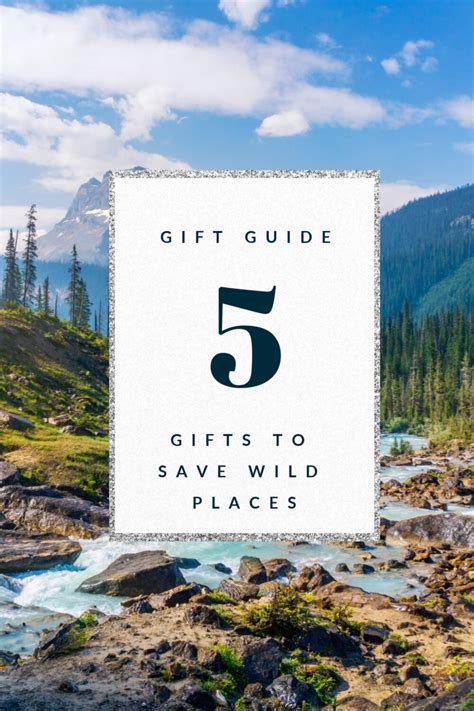 Eco-friendly Gift Guide: Gifts from Brands Helping Preserve the Environment — 101 Ways to Save ...