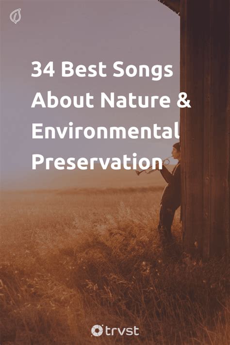 34 Best Songs About Nature & Environmental Preservation