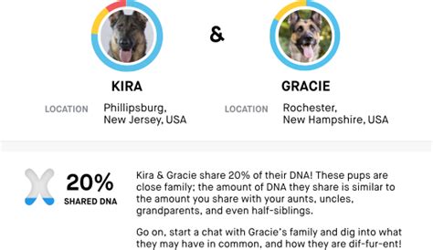 Embark Dog DNA Test: Most Accurate & Highest Reviewed Dog DNA Test