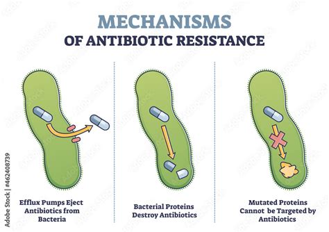 Mechanisms of antibiotic resistance outline diagram with illustrated examples. Efflux pumps ...