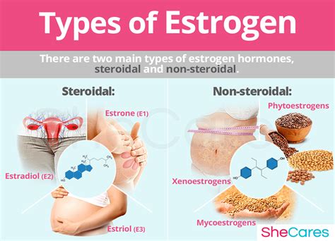 About Estrogen - Understanding estrogen's function | SheCares