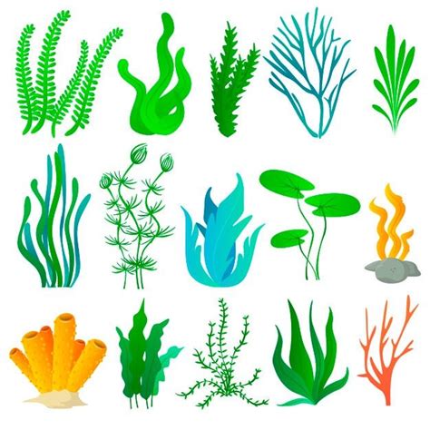 Ocean Plants Clipart