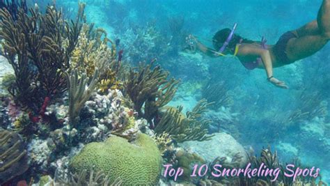 St John's Top Snorkeling Spots - On-Island Times US Virgin Islands