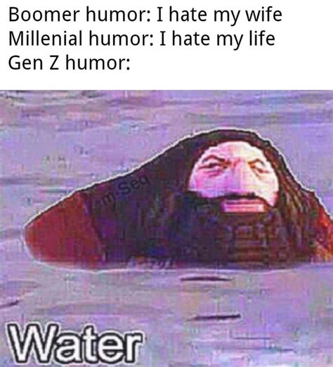 Water | Zoomer Humor | Know Your Meme