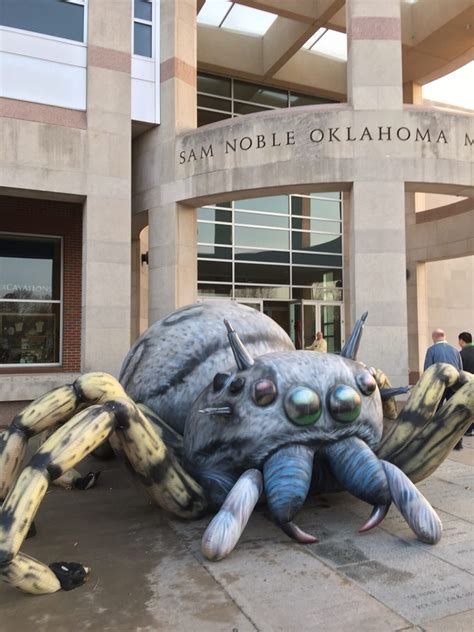 Sam Noble Oklahoma Museum of Natural History - 51 Photos & 28 Reviews - Museums - 2401 ...