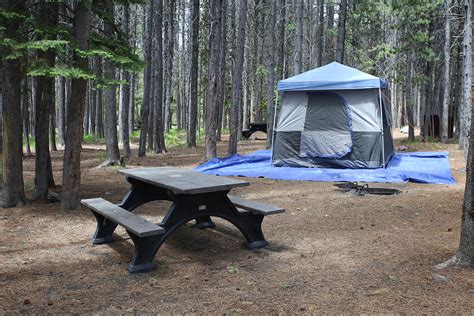 Bridge Bay Campground Yellowstone Map - Sibby Dorothee