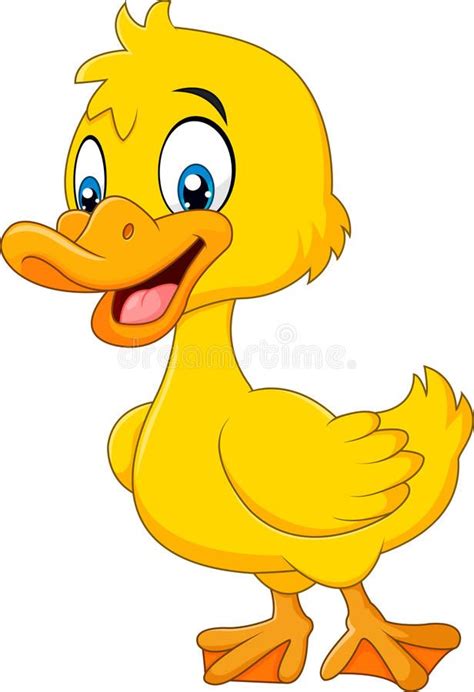 Cute baby duck posing isolated on white background vector illustration Funny Baby Cartoon, Duck ...