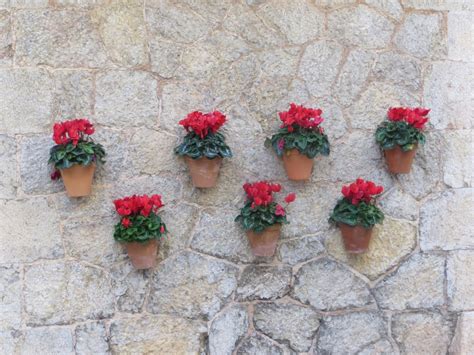 Free Images : wall, decoration, pattern, red, flora, flowers, art ...