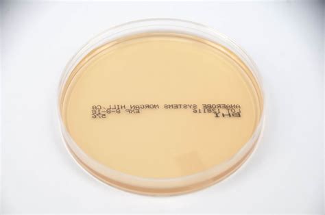 Brain Heart Infusion Agar - Anaerobe Systems