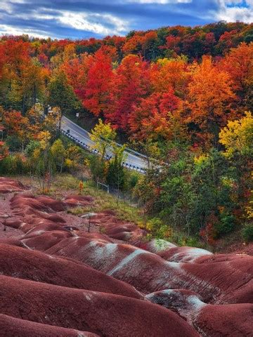 Cheltenham Badlands Road Trip - Member Stories